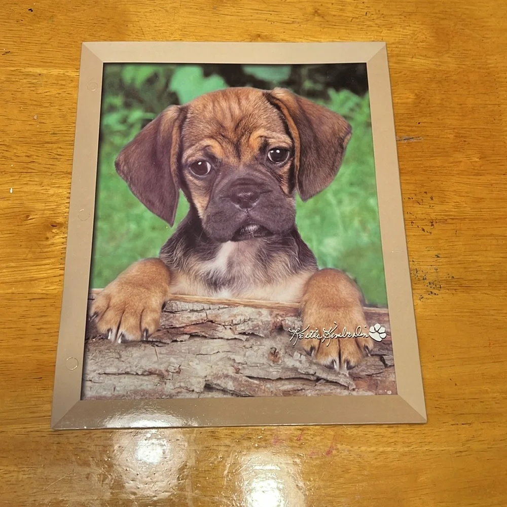 Vintage Keith Kimberlin Puppy Folders. New